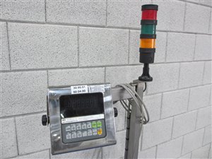 Roller conveyor with weighing zone and weighing indicator