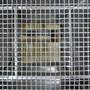 Sieving Machine