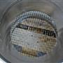 Sieving Machine