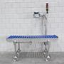 Roller conveyor